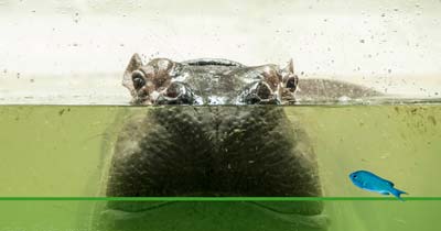 livellostati, trasmettitori, contatti e interruttori di livello