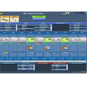 Software per la Gestione dei Carichi Vega