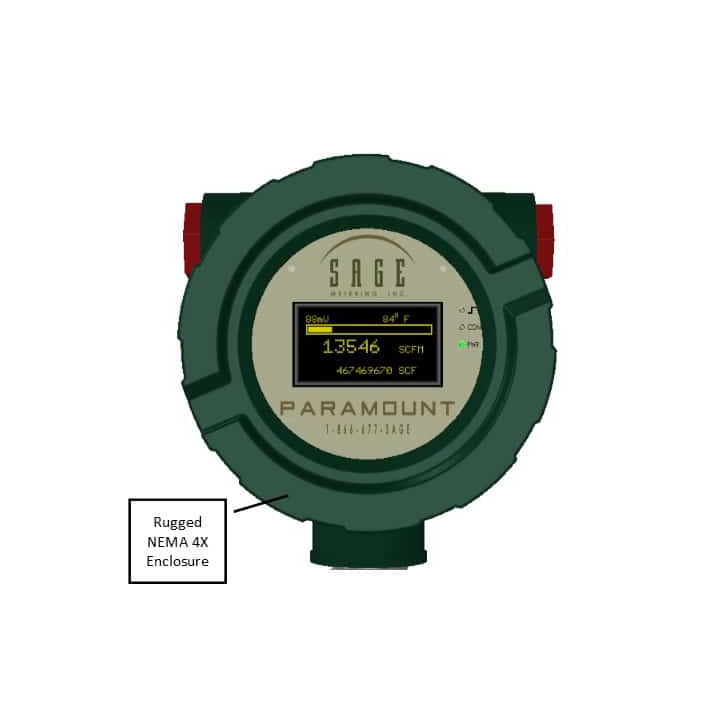 misuratore portata massica Paramount