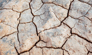 siccità emergenza caldo