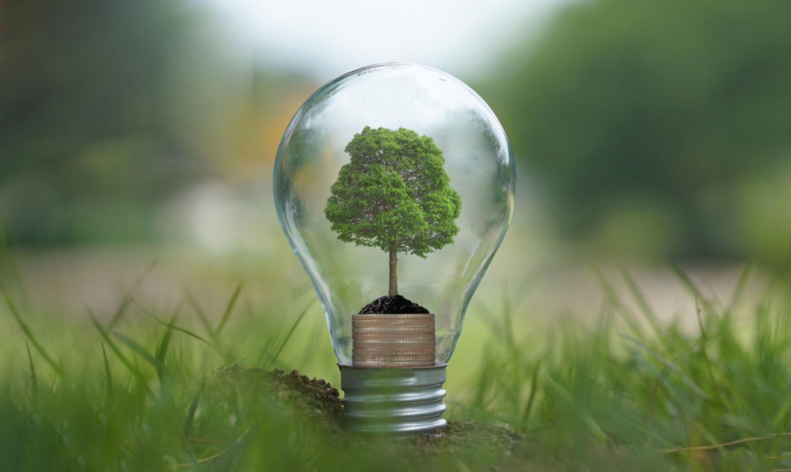 Efficienza energetica